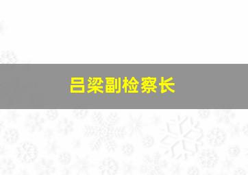 吕梁副检察长