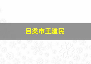 吕梁市王建民