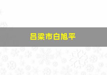 吕梁市白旭平