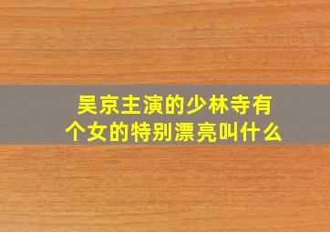 吴京主演的少林寺有个女的特别漂亮叫什么