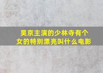 吴京主演的少林寺有个女的特别漂亮叫什么电影