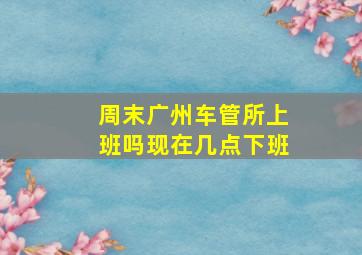 周末广州车管所上班吗现在几点下班