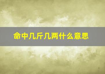 命中几斤几两什么意思