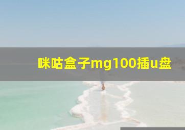 咪咕盒子mg100插u盘