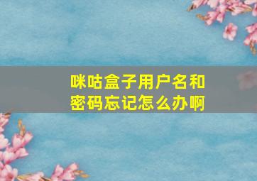 咪咕盒子用户名和密码忘记怎么办啊