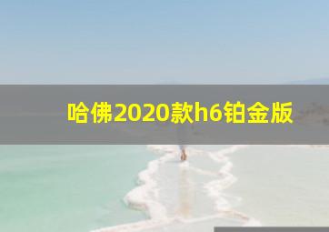 哈佛2020款h6铂金版