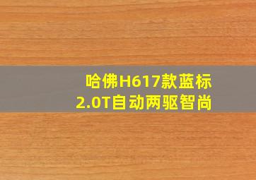 哈佛H617款蓝标2.0T自动两驱智尚