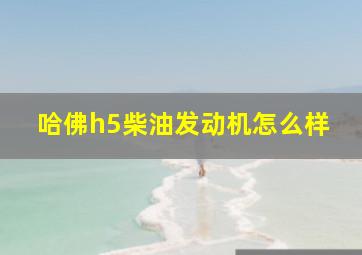 哈佛h5柴油发动机怎么样