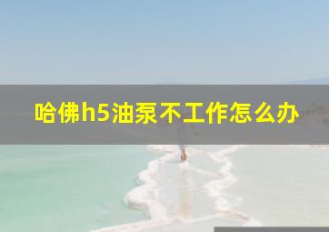 哈佛h5油泵不工作怎么办