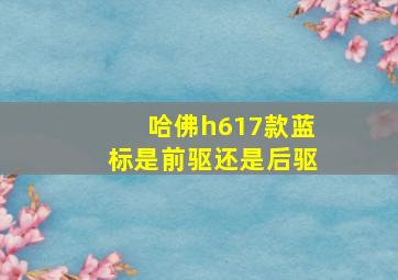 哈佛h617款蓝标是前驱还是后驱