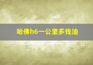 哈佛h6一公里多钱油