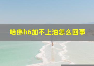 哈佛h6加不上油怎么回事