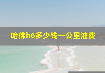 哈佛h6多少钱一公里油费