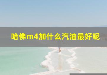 哈佛m4加什么汽油最好呢