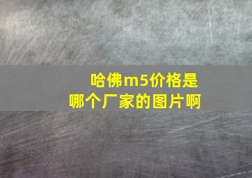 哈佛m5价格是哪个厂家的图片啊