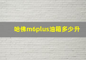 哈佛m6plus油箱多少升