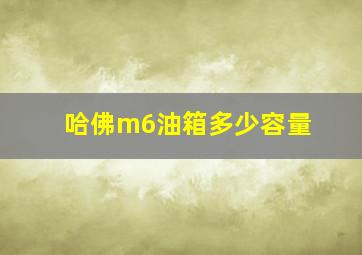 哈佛m6油箱多少容量