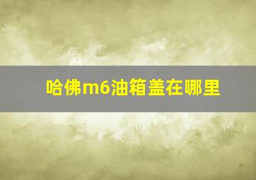 哈佛m6油箱盖在哪里