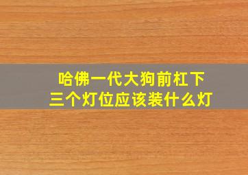 哈佛一代大狗前杠下三个灯位应该装什么灯