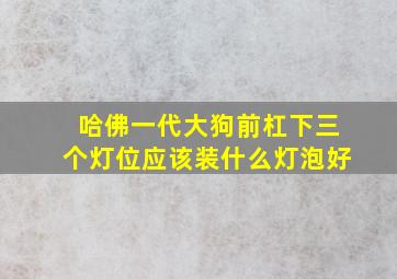 哈佛一代大狗前杠下三个灯位应该装什么灯泡好