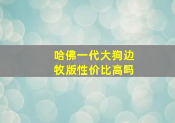 哈佛一代大狗边牧版性价比高吗