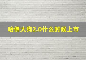 哈佛大狗2.0什么时候上市