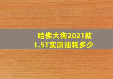 哈佛大狗2021款1.5T实测油耗多少