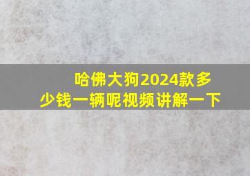 哈佛大狗2024款多少钱一辆呢视频讲解一下