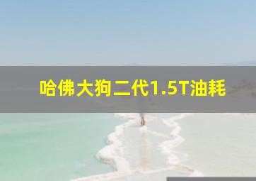 哈佛大狗二代1.5T油耗