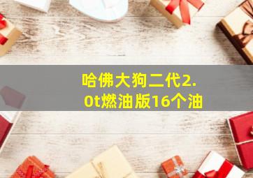 哈佛大狗二代2.0t燃油版16个油