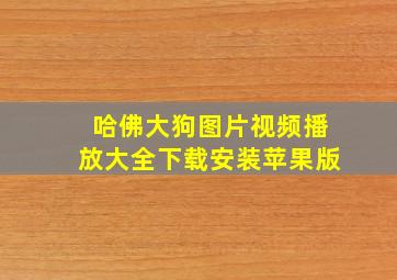 哈佛大狗图片视频播放大全下载安装苹果版