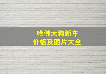 哈佛大狗新车价格及图片大全