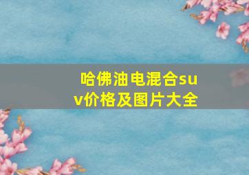 哈佛油电混合suv价格及图片大全