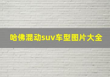 哈佛混动suv车型图片大全