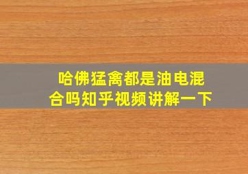 哈佛猛禽都是油电混合吗知乎视频讲解一下