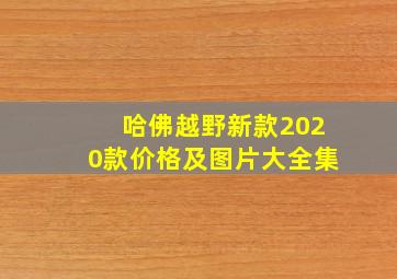 哈佛越野新款2020款价格及图片大全集