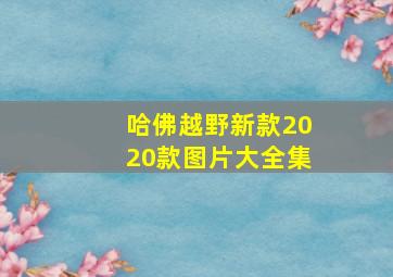 哈佛越野新款2020款图片大全集