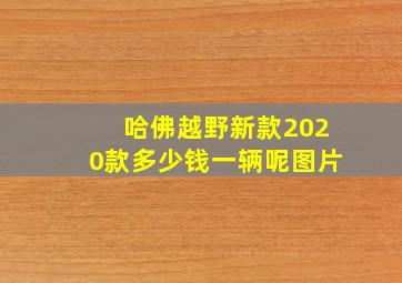 哈佛越野新款2020款多少钱一辆呢图片