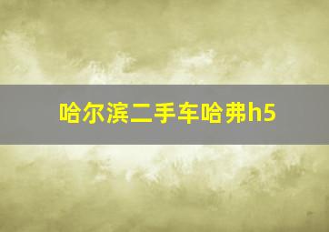 哈尔滨二手车哈弗h5