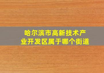 哈尔滨市高新技术产业开发区属于哪个街道