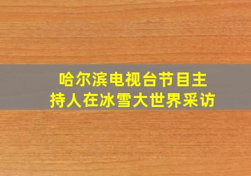 哈尔滨电视台节目主持人在冰雪大世界采访