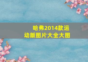 哈弗2014款运动版图片大全大图