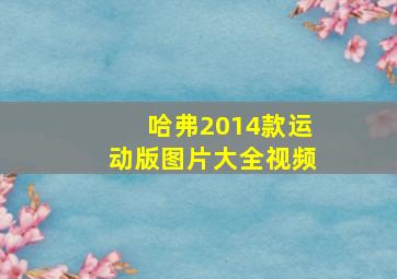 哈弗2014款运动版图片大全视频