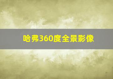 哈弗360度全景影像