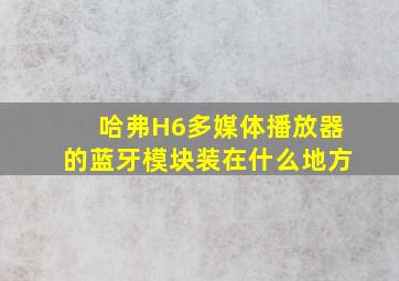 哈弗H6多媒体播放器的蓝牙模块装在什么地方