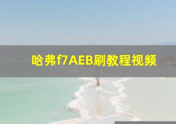 哈弗f7AEB刷教程视频