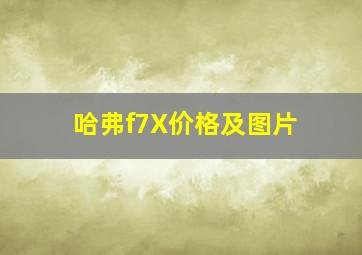 哈弗f7X价格及图片