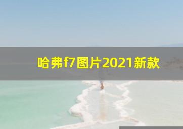 哈弗f7图片2021新款