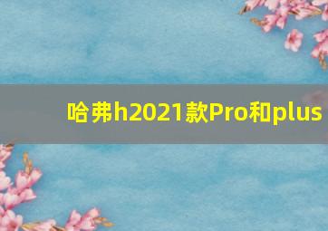 哈弗h2021款Pro和plus