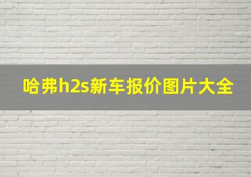 哈弗h2s新车报价图片大全